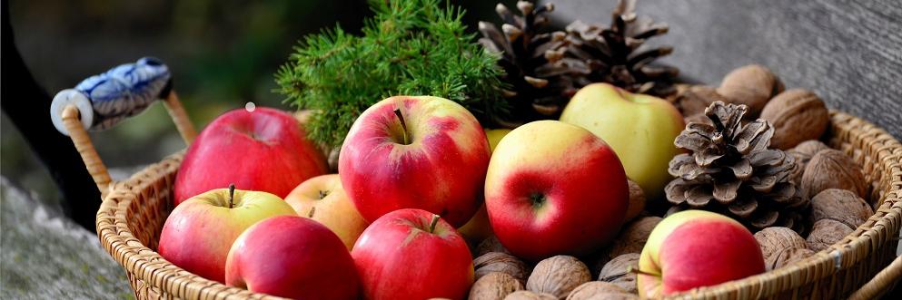 Herzlich willkommen im Pastoralen Raum Mechernich Herzlich willkommen im Pastoralen Raum Mechernich