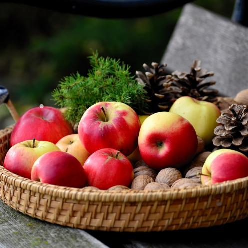 Herzlich willkommen im Pastoralen Raum Mechernich Herzlich willkommen im Pastoralen Raum Mechernich