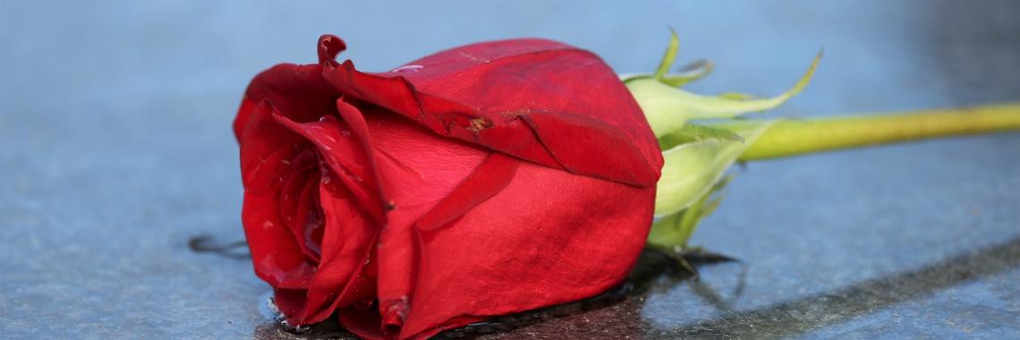 Herzlich willkommen im Pastoralen Raum Mechernich      Herzlich willkommen im Pastoralen Raum Mechernich