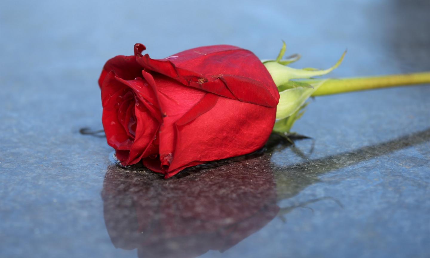 Herzlich willkommen im Pastoralen Raum Mechernich      Herzlich willkommen im Pastoralen Raum Mechernich