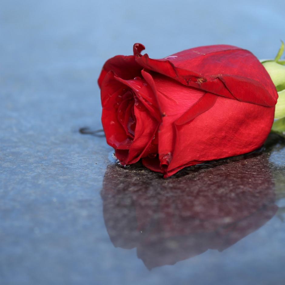 Herzlich willkommen im Pastoralen Raum Mechernich      Herzlich willkommen im Pastoralen Raum Mechernich