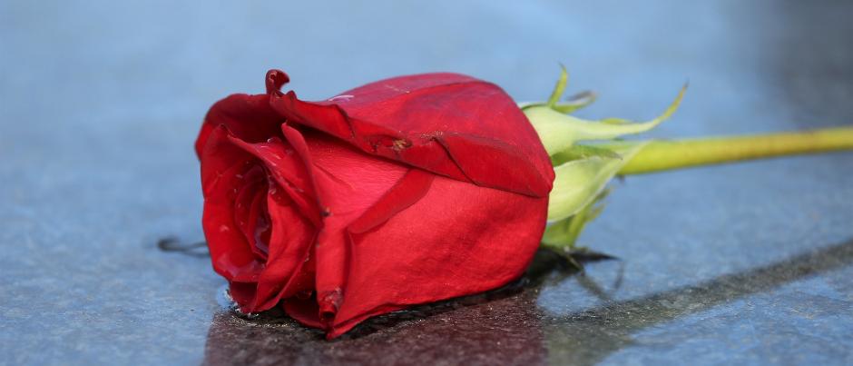 Herzlich willkommen im Pastoralen Raum Mechernich      Herzlich willkommen im Pastoralen Raum Mechernich