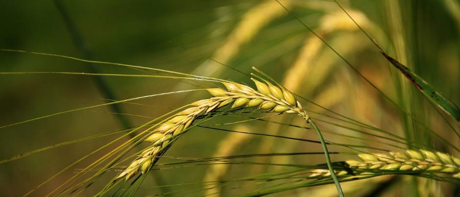 Herzlich willkommen im Pastoralen Raum Mechernich Herzlich willkommen im Pastoralen Raum Mechernich