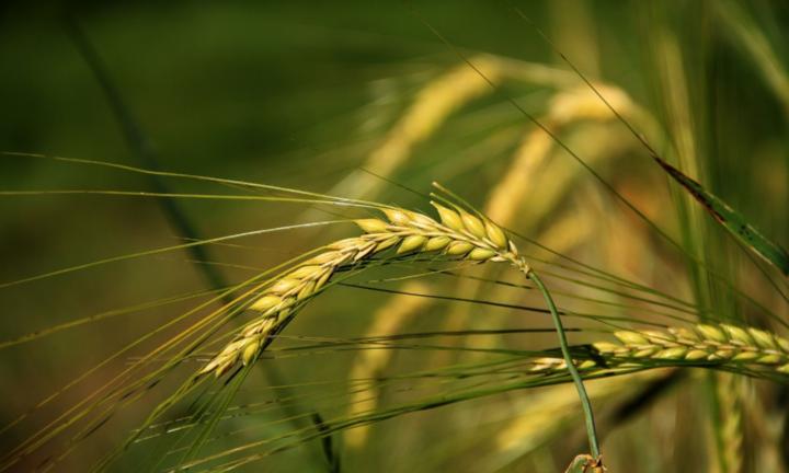 Herzlich willkommen im Pastoralen Raum Mechernich Herzlich willkommen im Pastoralen Raum Mechernich