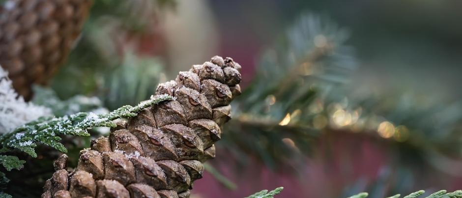 Herzlich willkommen im Pastoralen Raum Mechernich Herzlich willkommen im Pastoralen Raum Mechernich