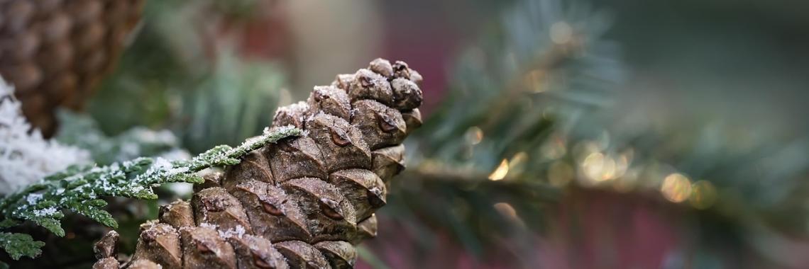 Herzlich willkommen im Pastoralen Raum Mechernich Herzlich willkommen im Pastoralen Raum Mechernich