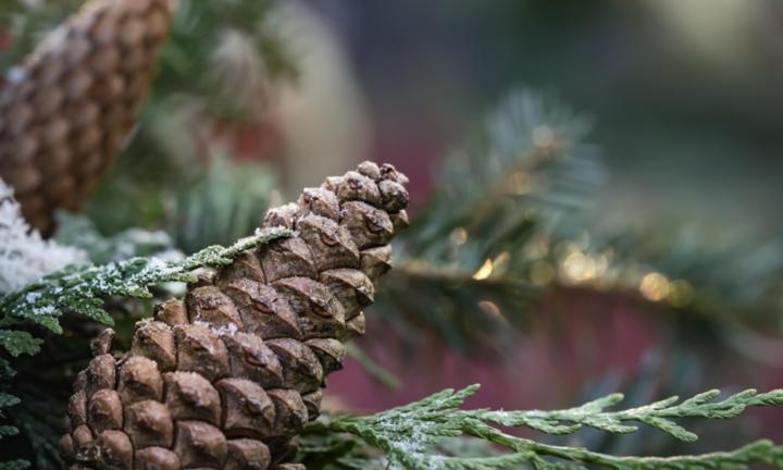 Herzlich willkommen im Pastoralen Raum Mechernich Herzlich willkommen im Pastoralen Raum Mechernich
