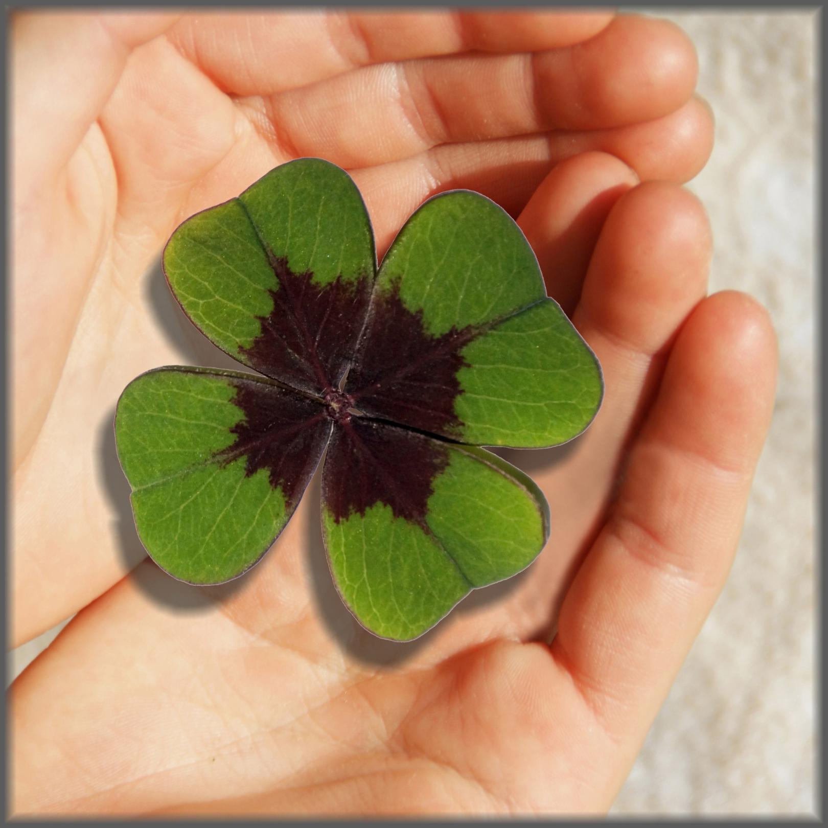 Ein frohes neues Jahr Ein frohes neues Jahr