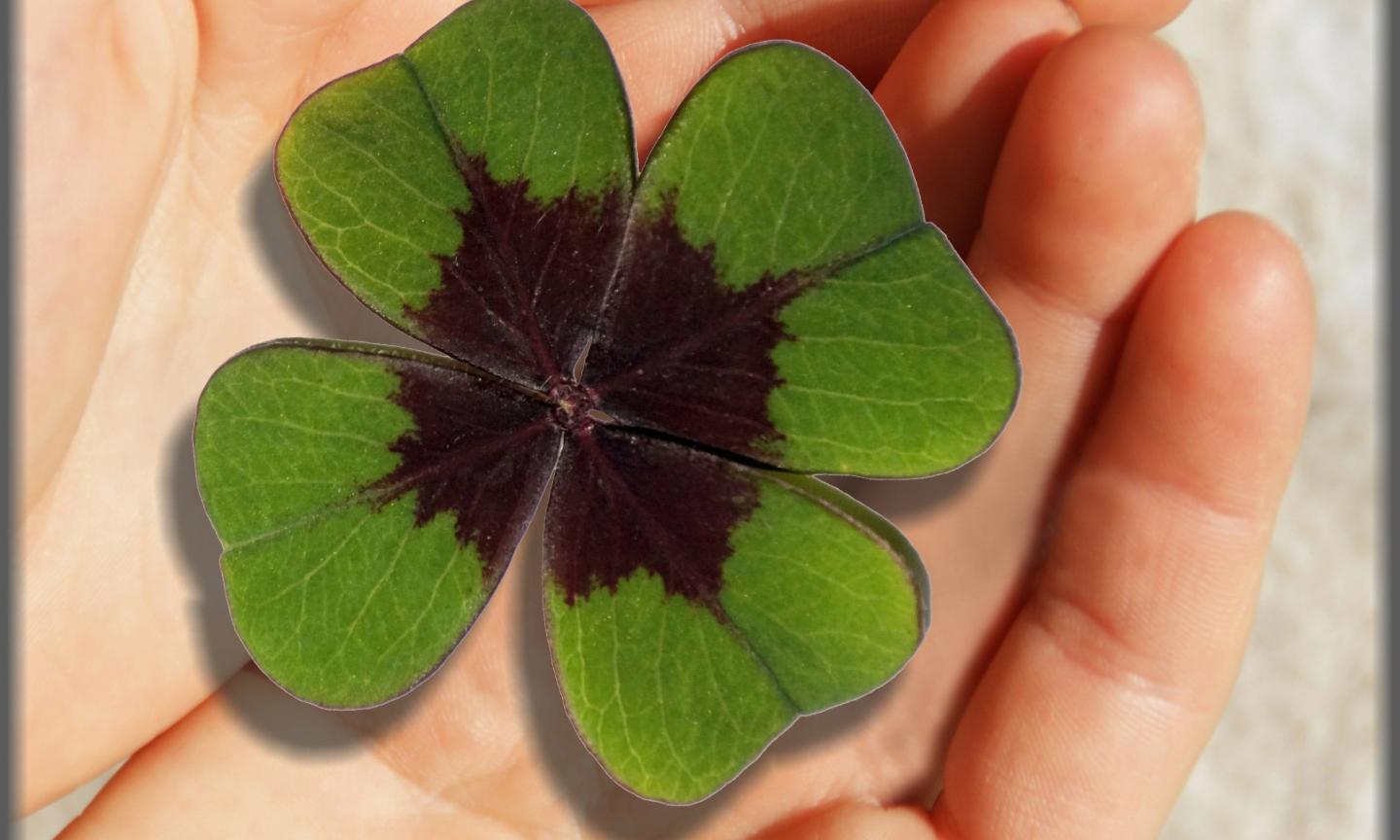 Ein frohes neues Jahr Ein frohes neues Jahr