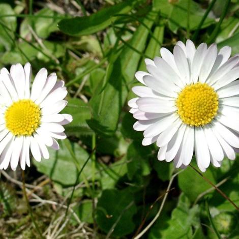 Herzlich willkommen im Pastoralen Raum Mechernich Herzlich willkommen im Pastoralen Raum Mechernich