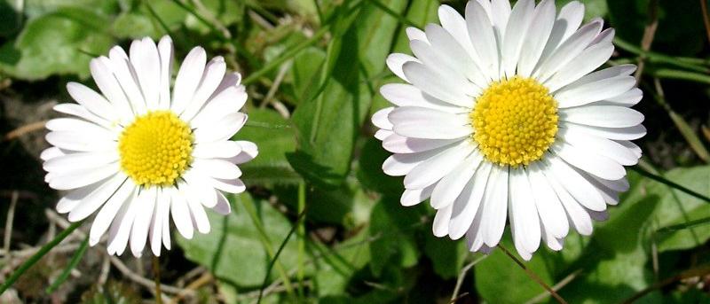 Herzlich willkommen im Pastoralen Raum Mechernich Herzlich willkommen im Pastoralen Raum Mechernich