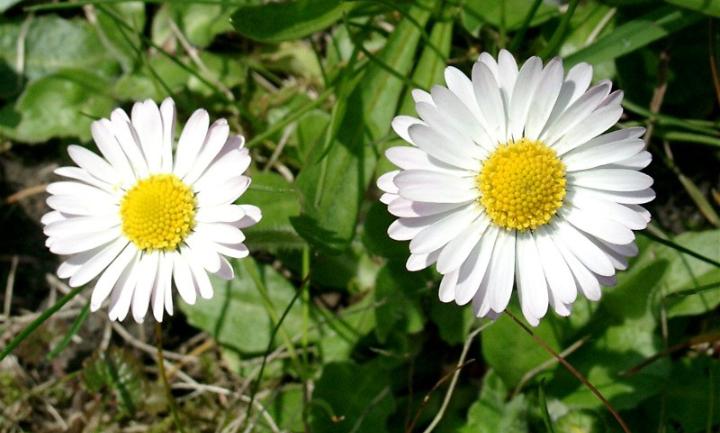 Herzlich willkommen im Pastoralen Raum Mechernich Herzlich willkommen im Pastoralen Raum Mechernich