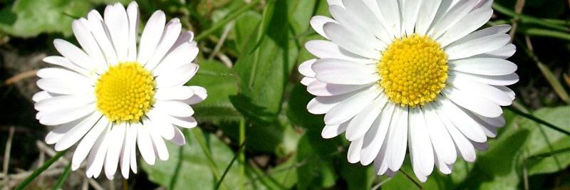 Herzlich willkommen im Pastoralen Raum Mechernich Herzlich willkommen im Pastoralen Raum Mechernich