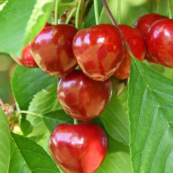 Herzlich willkommen im Pastoralen Raum Mechernich Herzlich willkommen im Pastoralen Raum Mechernich