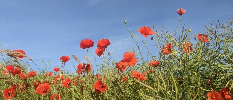 Herzlich willkommen im Pastoralen Raum Mechernich Herzlich willkommen im Pastoralen Raum Mechernich