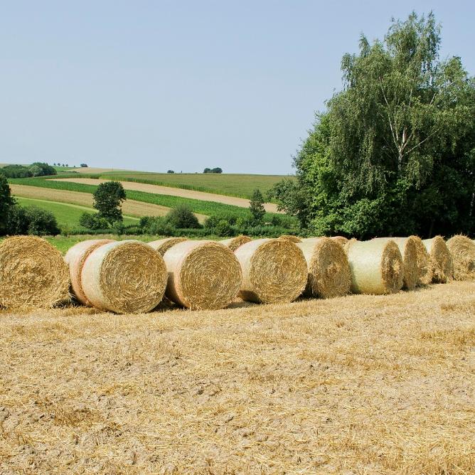 Herzlich willkommen im Pastoralen Raum Mechernich Herzlich willkommen im Pastoralen Raum Mechernich