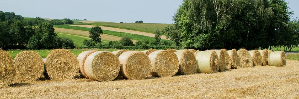 Herzlich willkommen im Pastoralen Raum Mechernich Herzlich willkommen im Pastoralen Raum Mechernich