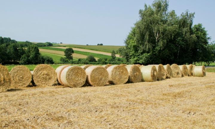 Herzlich willkommen im Pastoralen Raum Mechernich Herzlich willkommen im Pastoralen Raum Mechernich