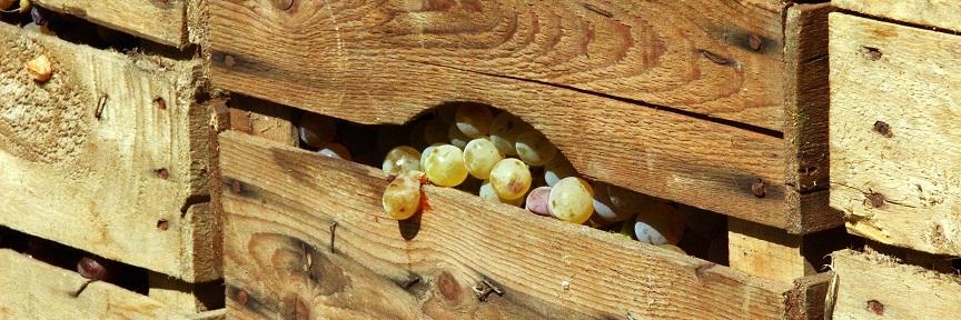 Herzlich willkommen im Pastoralen Raum Mechernich Herzlich willkommen im Pastoralen Raum Mechernich