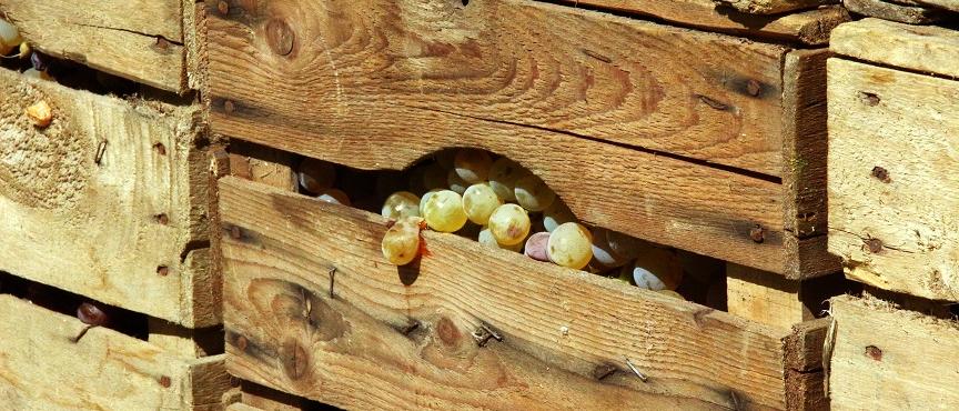 Herzlich willkommen im Pastoralen Raum Mechernich Herzlich willkommen im Pastoralen Raum Mechernich